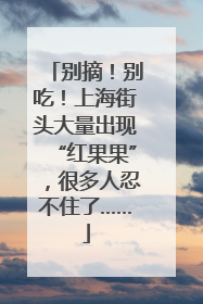 别摘！别吃！上海街头大量出现“红果果”，很多人忍不住了……