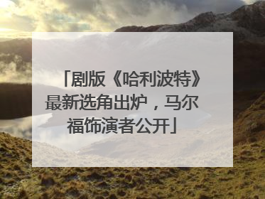 剧版《哈利波特》最新选角出炉，马尔福饰演者公开