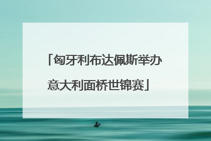 匈牙利布达佩斯举办意大利面桥世锦赛