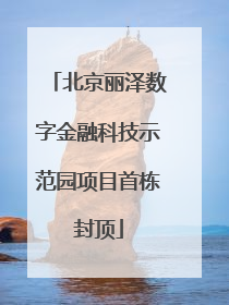 北京丽泽数字金融科技示范园项目首栋封顶