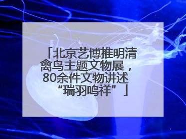 北京艺博推明清禽鸟主题文物展，80余件文物讲述“瑞羽鸣祥”