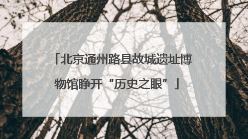 北京通州路县故城遗址博物馆睁开“历史之眼”