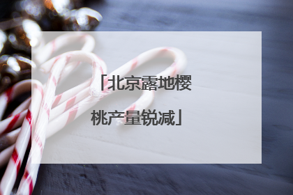 北京露地樱桃产量锐减