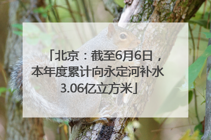 北京：截至6月6日，本年度累计向永定河补水3.06亿立方米