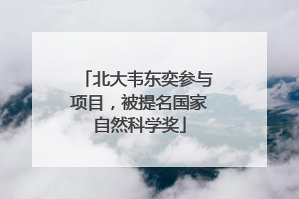 北大韦东奕参与项目，被提名国家自然科学奖