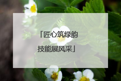 匠心筑绿韵 技能展风采