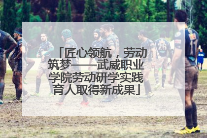 匠心领航，劳动筑梦——武威职业学院劳动研学实践育人取得新成果