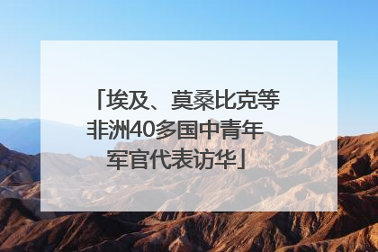 埃及、莫桑比克等非洲40多国中青年军官代表访华