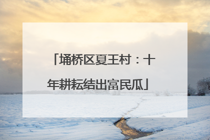 埇桥区夏王村：十年耕耘结出富民瓜