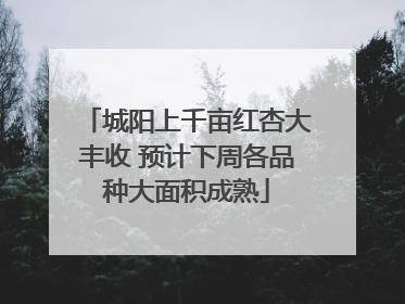 城阳上千亩红杏大丰收 预计下周各品种大面积成熟