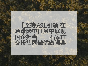 坚持党建引领 在急难险重任务中展现国企担当——石家庄交投集团做优做强典型报道之一