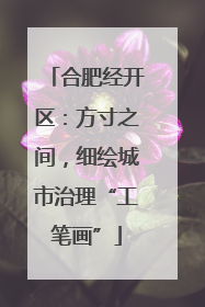 合肥经开区：方寸之间，细绘城市治理“工笔画”