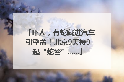吓人，有蛇藏进汽车引擎盖！北京9天接9起“蛇警”……