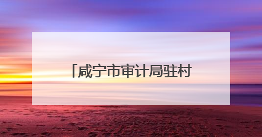 咸宁市审计局驻村工作队巧用“三招”点亮美丽乡村