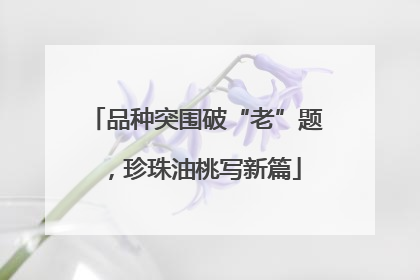 品种突围破“老”题，珍珠油桃写新篇