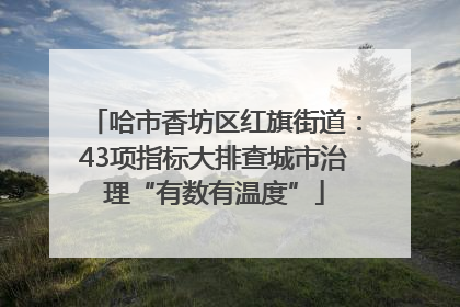 哈市香坊区红旗街道：43项指标大排查城市治理“有数有温度”