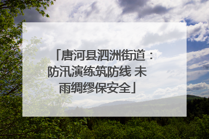 唐河县泗洲街道：防汛演练筑防线 未雨绸缪保安全