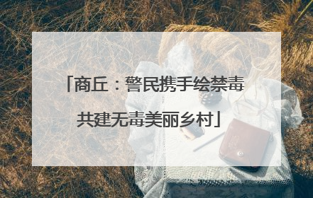 商丘：警民携手绘禁毒 共建无毒美丽乡村