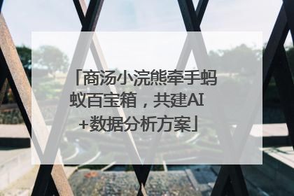 商汤小浣熊牵手蚂蚁百宝箱，共建AI+数据分析方案