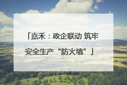 嘉禾：政企联动 筑牢安全生产“防火墙”