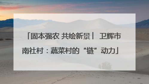 固本强农 共绘新景 ︳卫辉市南社村：蔬菜村的“链”动力