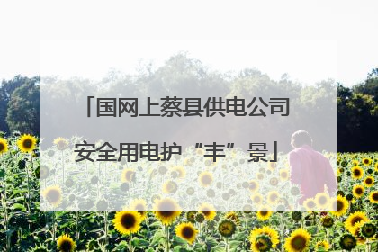 国网上蔡县供电公司安全用电护“丰”景