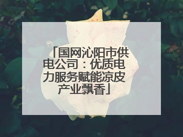 国网沁阳市供电公司：优质电力服务赋能凉皮产业飘香