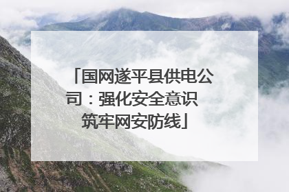 国网遂平县供电公司：强化安全意识 筑牢网安防线