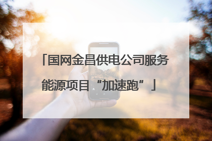 国网金昌供电公司服务能源项目“加速跑”