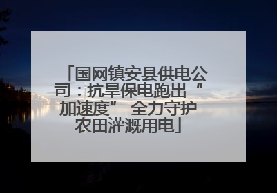 国网镇安县供电公司：抗旱保电跑出“加速度” 全力守护农田灌溉用电
