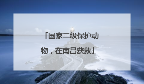 国家二级保护动物，在南昌获救