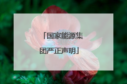 国家能源集团严正声明