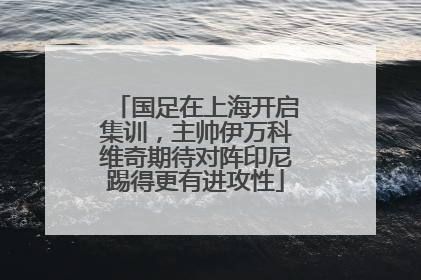 国足在上海开启集训，主帅伊万科维奇期待对阵印尼踢得更有进攻性