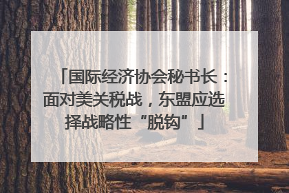 国际经济协会秘书长：面对美关税战，东盟应选择战略性“脱钩”