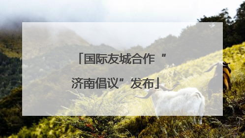 国际友城合作“济南倡议”发布