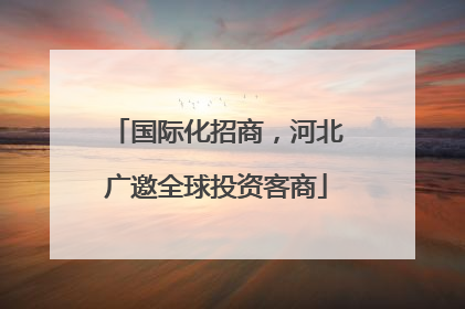国际化招商，河北广邀全球投资客商