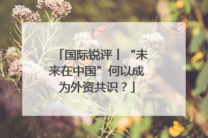 国际锐评丨“未来在中国”何以成为外资共识？