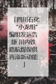 四川石化“小龙组”编组发运告捷 川内铁路航煤保供再添新动能