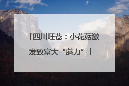 四川旺苍：小花菇激发致富大“蘑力”