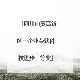 四川自贡高新区一企业荣获科技进步二等奖