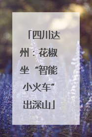 四川达州：花椒坐“智能小火车”出深山