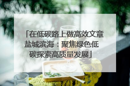 在低碳路上做高效文章 盐城滨海：聚焦绿色低碳探索高质量发展