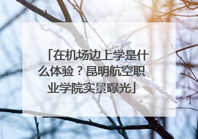 在机场边上学是什么体验？昆明航空职业学院实景曝光