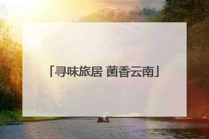 寻味旅居 菌香云南