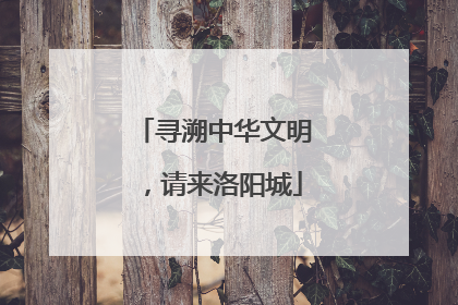 寻溯中华文明，请来洛阳城