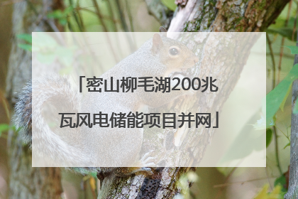 密山柳毛湖200兆瓦风电储能项目并网