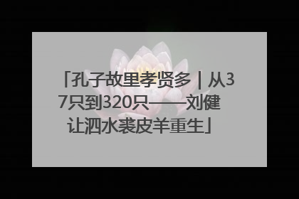 孔子故里孝贤多｜从37只到320只——刘健让泗水裘皮羊重生