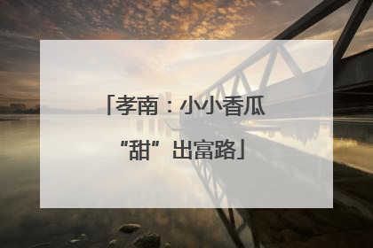 孝南：小小香瓜 “甜”出富路