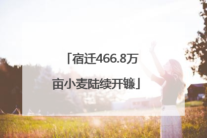 宿迁466.8万亩小麦陆续开镰
