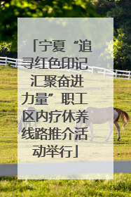 宁夏“追寻红色印记 汇聚奋进力量”职工区内疗休养线路推介活动举行